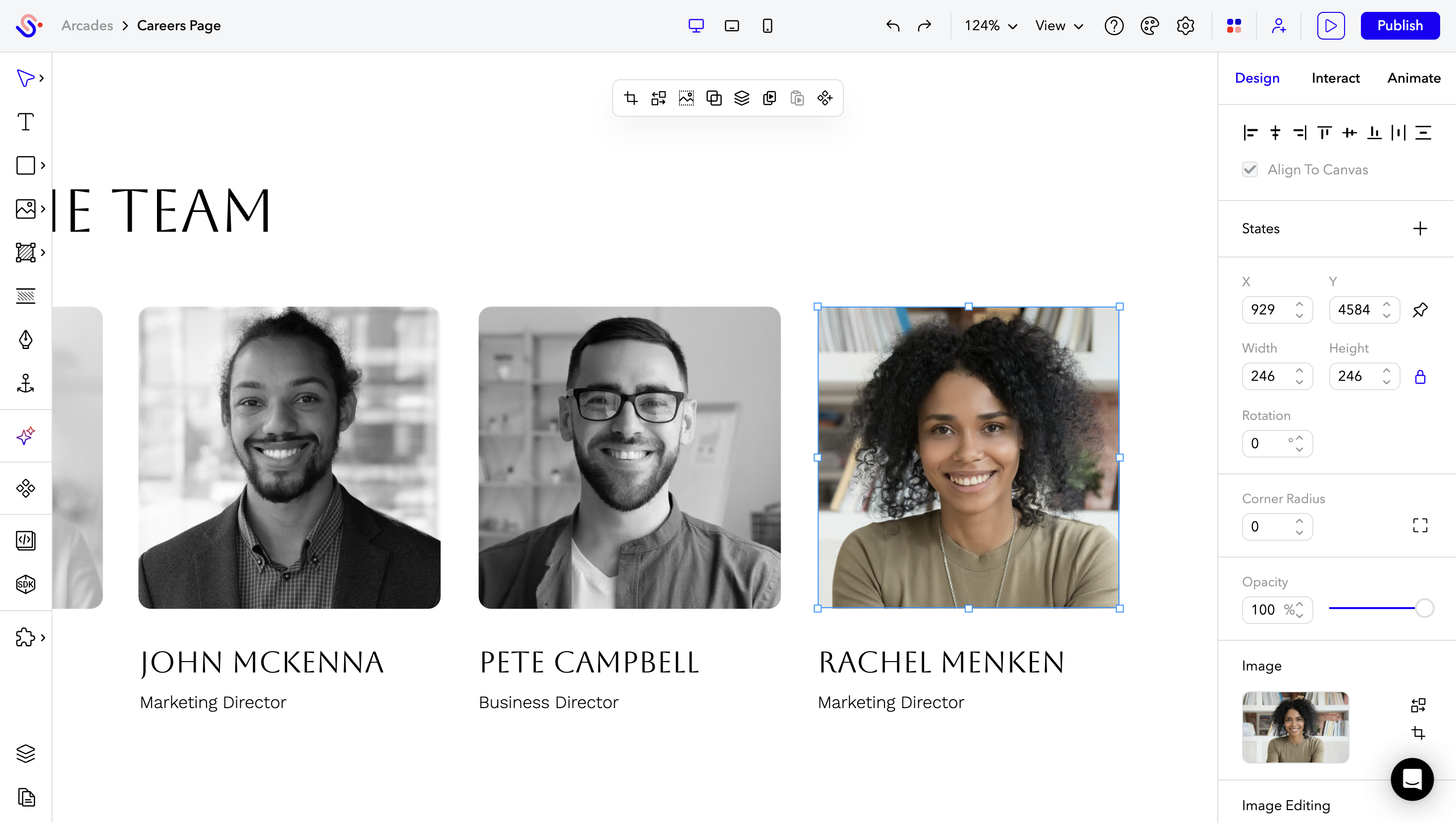 Adjust and edit the image within the Design Panel.