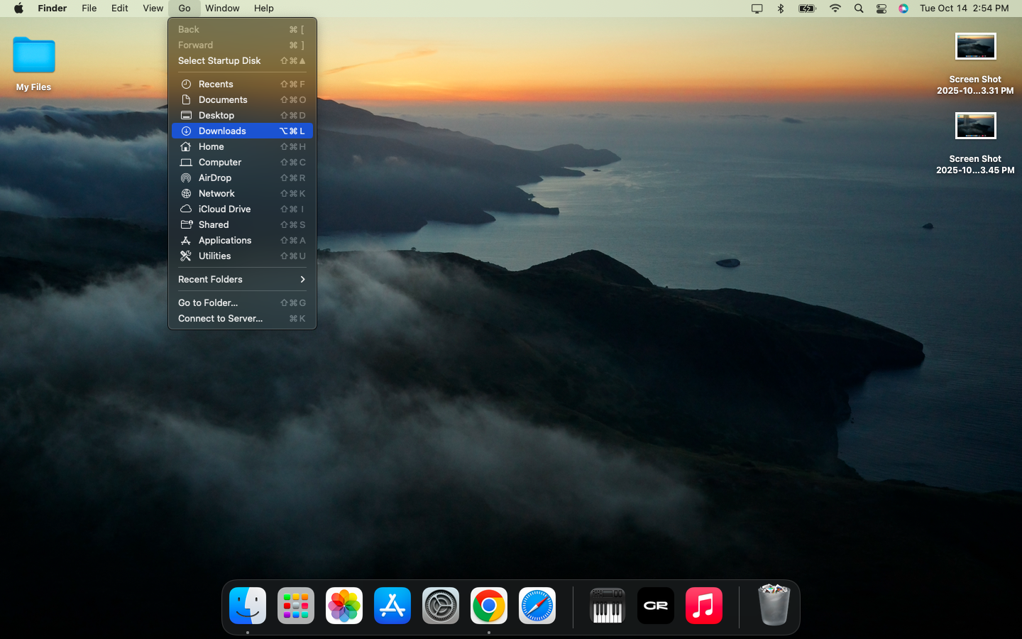 Go to the Downloads file.