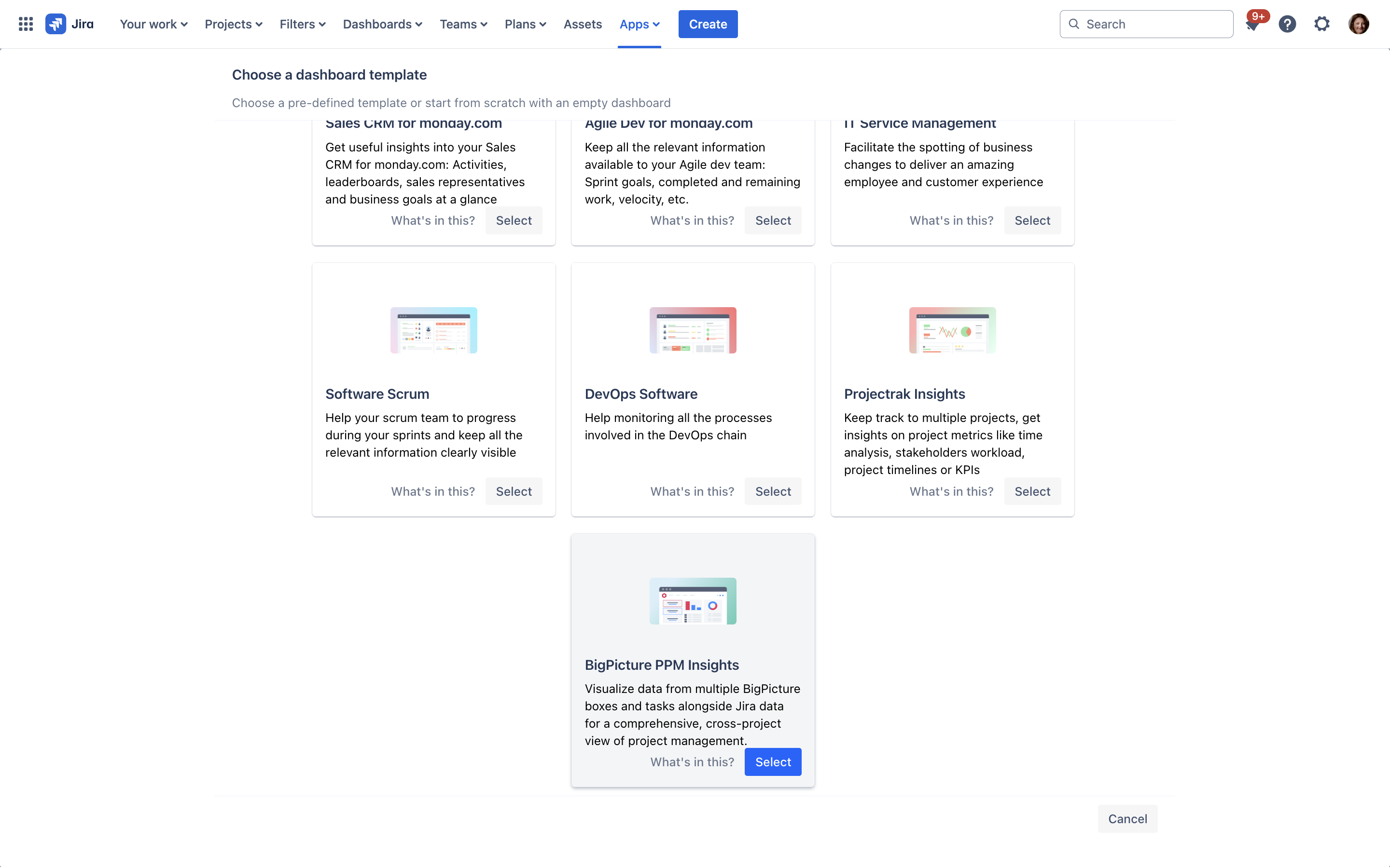 Select the **BigPicture PPM Insights** template. 