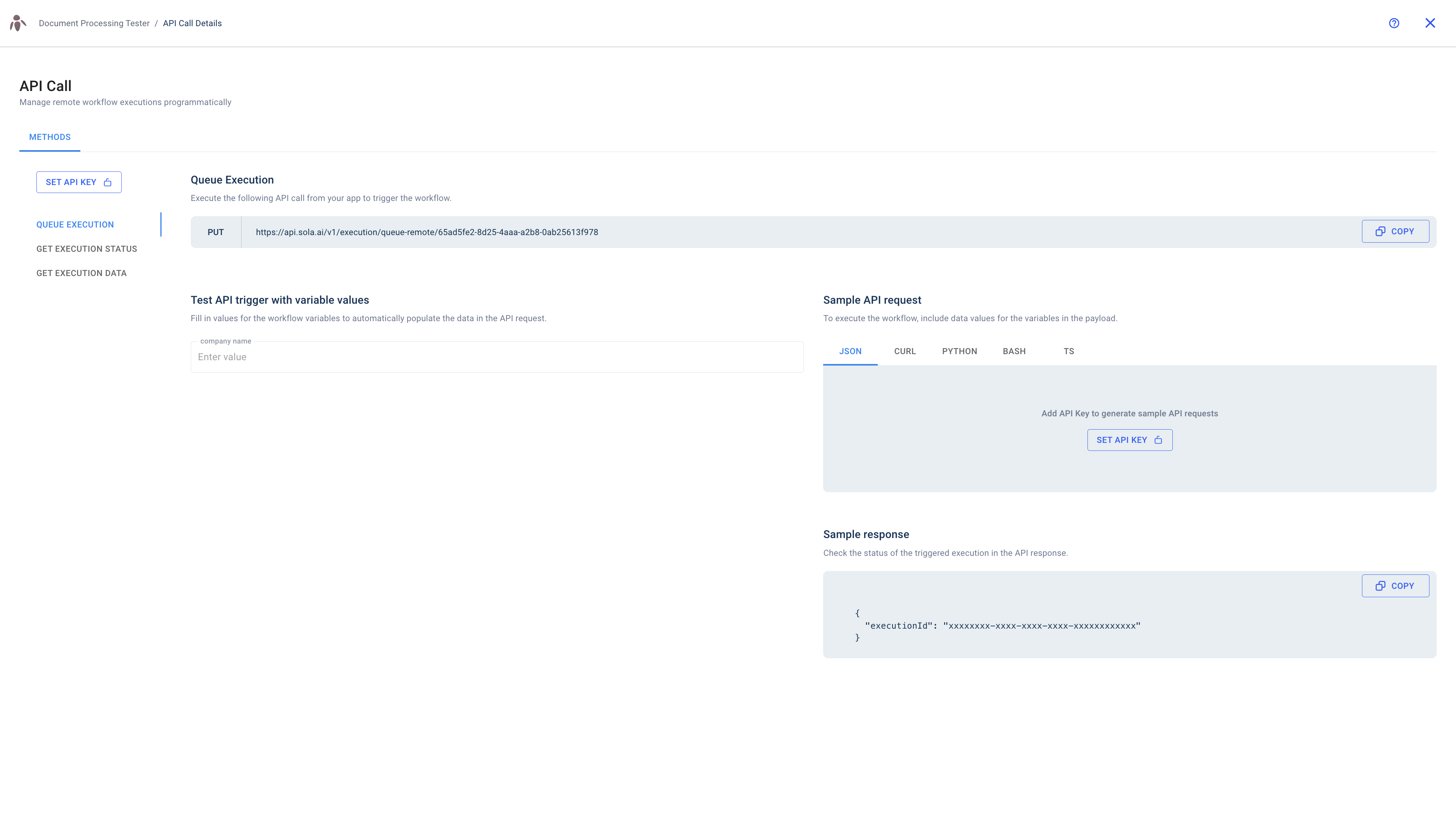 Enter a value to test the API trigger with custom variable data.