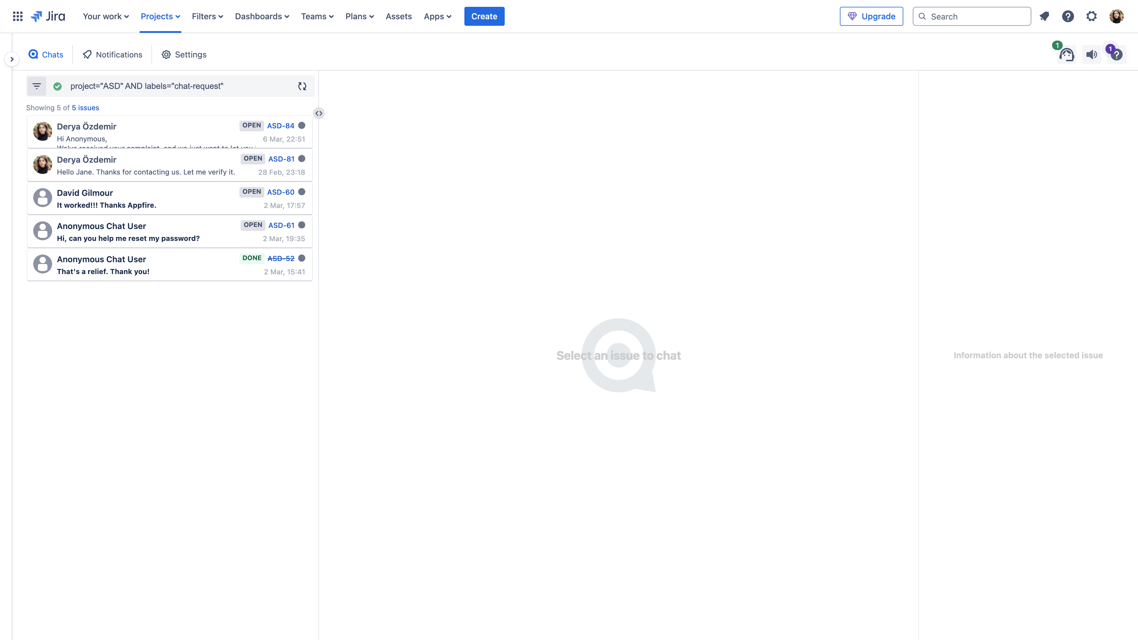 Clicking on an issue opens the **Details** and **Chat information** sections, which offer concise information at a glance.