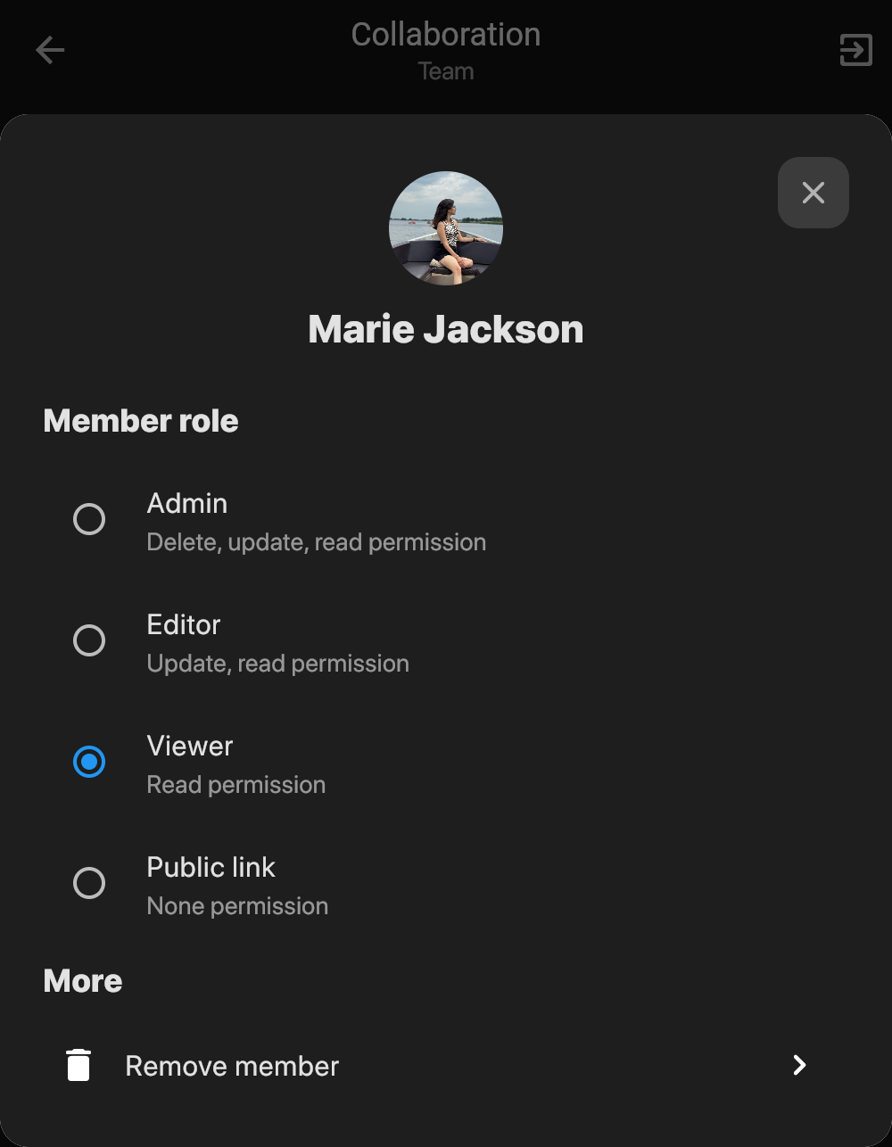 Let's change what this team member can do in the workspace.