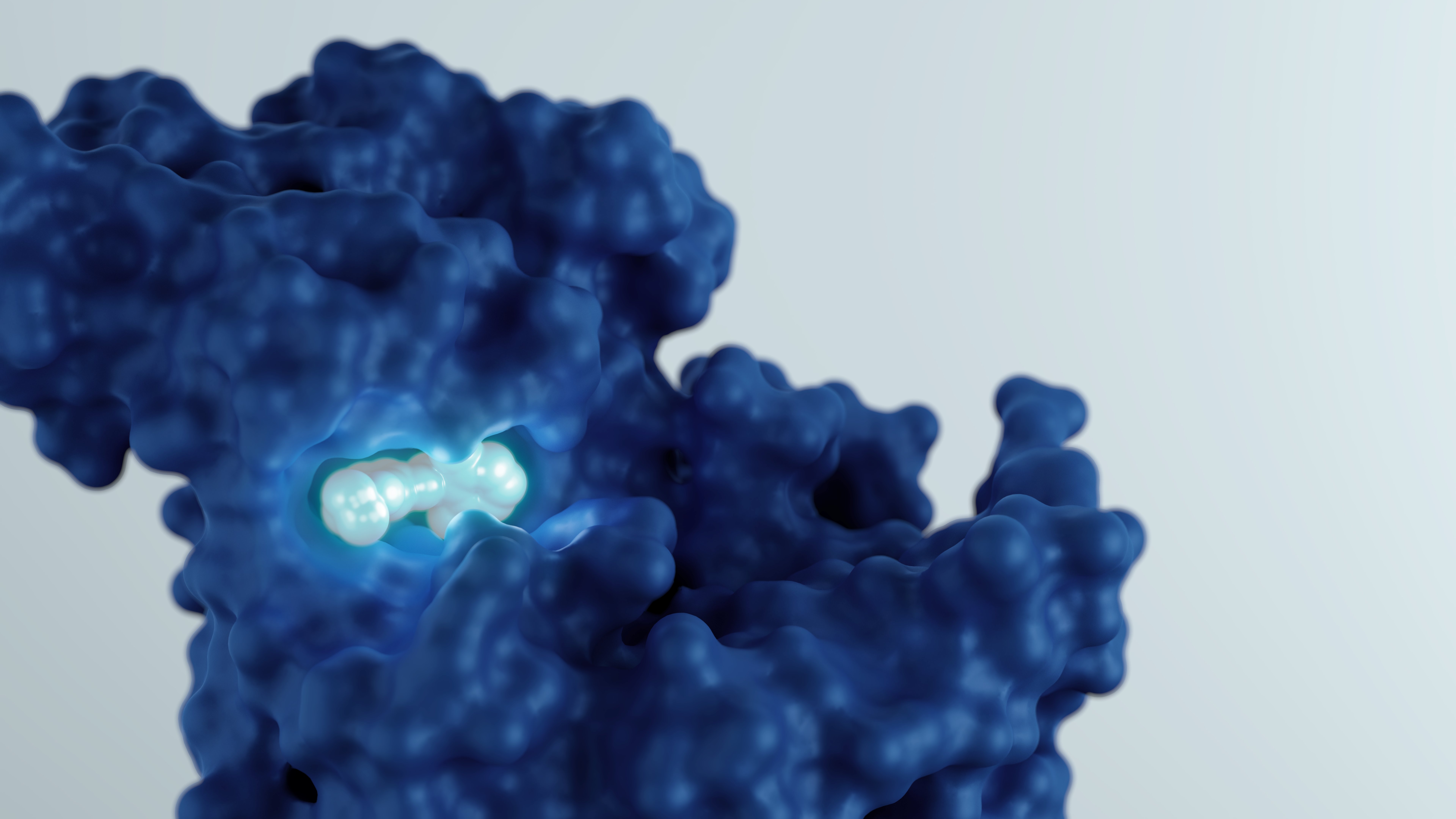 Welcome to the TandemViz v2.5.0 release overview!

We're excited to show you what's new 🔥

This tutorial will showcase the key updates in TandemViz: CBFE in TandemFEP and Core-Hopping in TandemGen. Together, these features enhance TandemViz's ability to explore a wider variety of compounds.