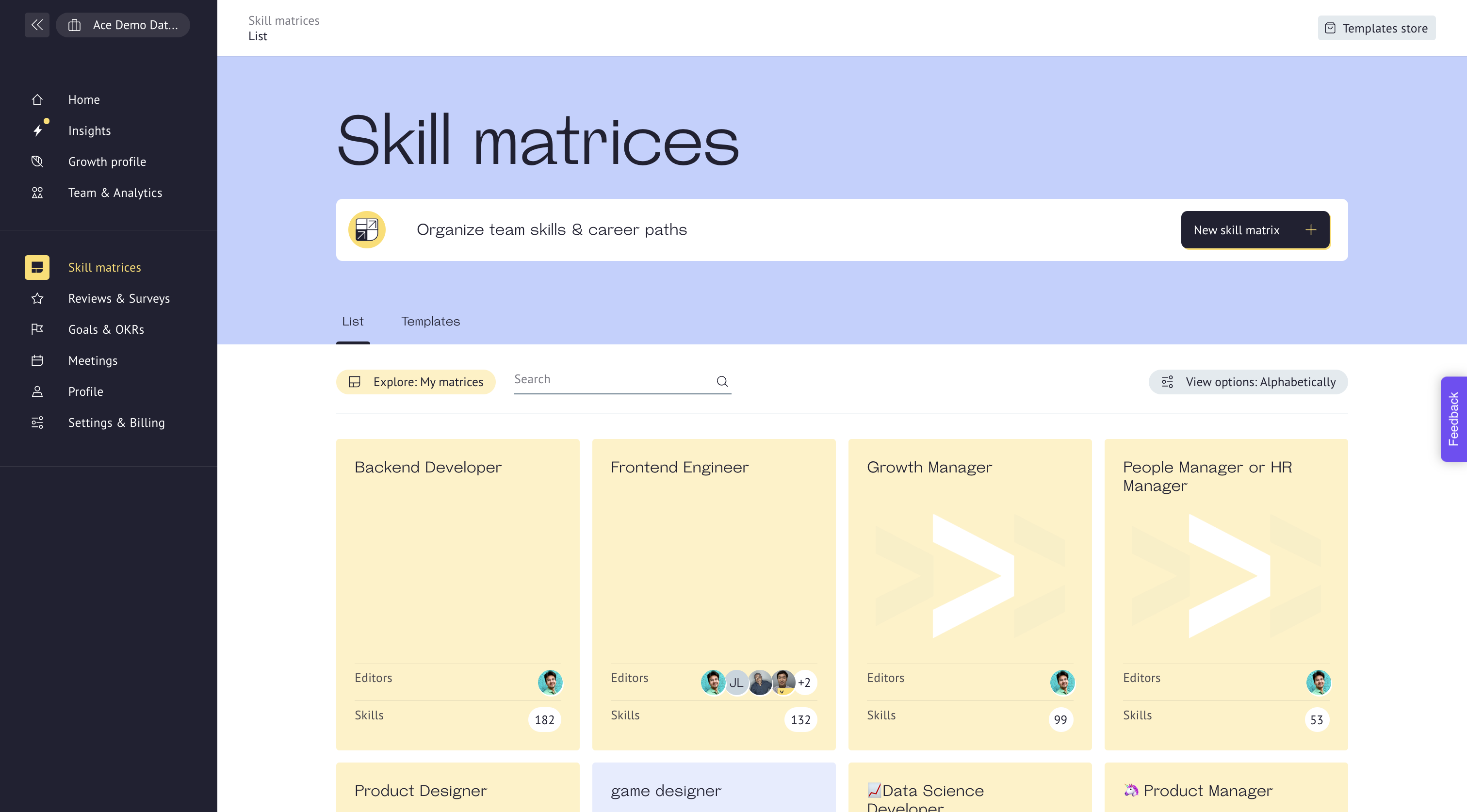 Ready made skill matrix framework for 50+ developer roles