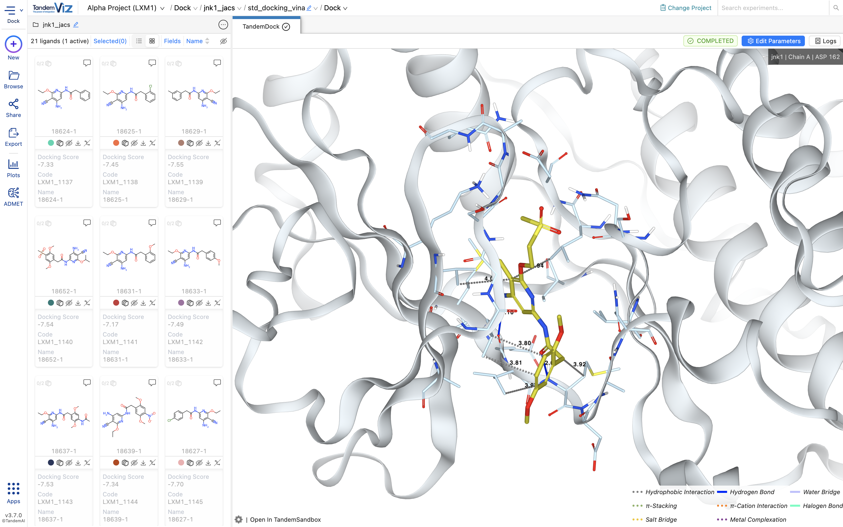 let's start by examining results of free docking of a chosen ligand set to c-Jun N-terminal kinases (JNK1). 
 
 