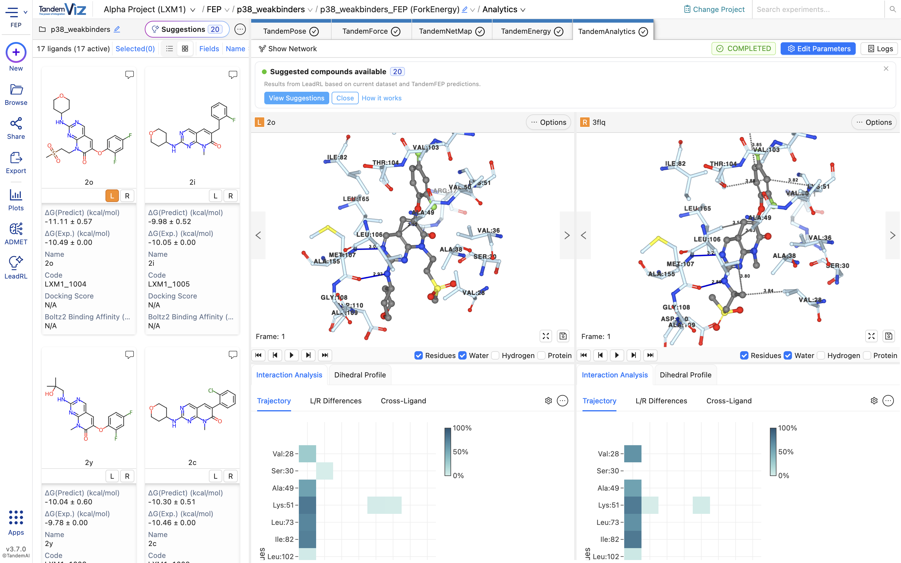 Access the results using this banner or click the button in the sidebar or dataset pane
